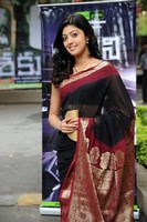 Pranitha Saree Photos